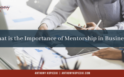 What is the Importance of Mentorship in Business?