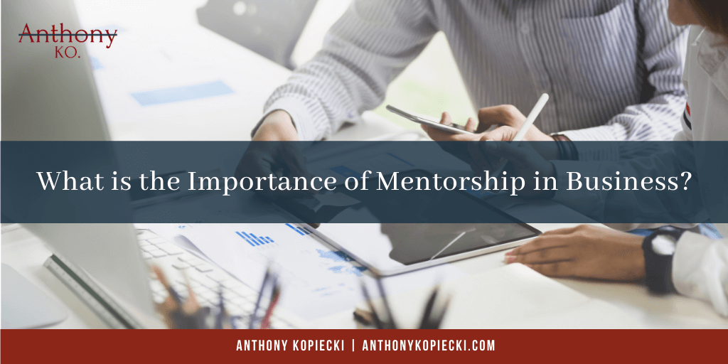 What is the Importance of Mentorship in Business?